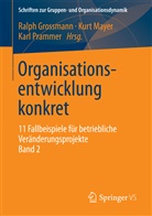 Grossman, Ralph Grossmann, MAYE, Kur Mayer, Kurt Mayer, Prammer... - Organisationsentwicklung konkret. Bd.2