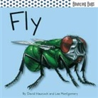 David Hawcock, David/ Montgomery Hawcock, Lee Montgomery - Fly