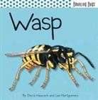 David Hawcock, David/ Montgomery Hawcock, Lee Montgomery - Wasp