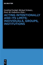 Peter M. Gollwitzer, Peter M Gollwitzer, Michae Schmitz, Michael Schmitz, Gottfried Seebass - Acting Intentionally and Its Limits: Individuals, Groups, Institutions