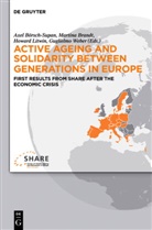 Axel Börsch-Supan, Martin Brandt, Martina Brandt, Howard Litwin, Howard Litwin et al, Guglielmo Weber - Active Ageing and Solidarity between Generations in Europe
