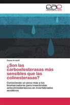 Gisela Kristoff - ¿Son las carboxilesterasas más sensibles que las colinesterasas?