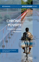 A. Shepherd, Andrew Brunt Shepherd, SHEPHERD A BRUNT J, Brunt, Brunt, J. Brunt... - Chronic Poverty
