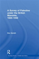 Dov Gavish, GAVISH DOV - Survey of Palestine Under the British Mandate, 1920-1948