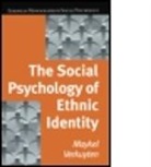Maykel Verkuyten, Professor Maykel Verkuyten, VERKUYTEN MAYKEL - Social Psychology of Ethnic Identity