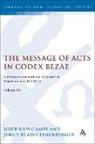Jenny Read-Heimerdinger, Read-Heimerdinger Jenny, RIUS CAMPS JOSEP READ HEIMERDINGE, Josep Rius-Camps, Josep Read-Heimerdinger Rius-Camps, Rius-Camps Josep... - The Message of Acts in Codex Bezae