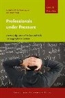 Mirko Steijn Noordegraaf, Prof. Dr. Mirko Steijn Noordegraaf, NOORDERGRAAF MIRKO STEIJN BRAM, Mirko Noordegraaf, Bram Steijn - Professionals Under Pressure