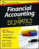 Steven Collings, Collings Steven, Loughran Maire - Financial Accounting for Dummies