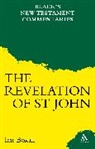 Ian Boxall, Ian K Boxall, Boxall Ian - A Commentary on the Revelation of St John