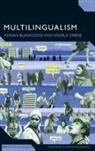 Adrian Blackledge, Adrian Creese Blackledge, BLACKLEDGE ADRIAN CREESE ANGELA, Angela Creese, Tommaso M. Milani - Multilingualism