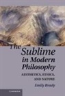 Emily Brady, Emily (University of Edinburgh) Brady, BRADY EMILY - The Sublime in Modern Philosoph