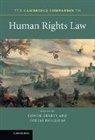 Conor A. Douzinas Gearty, Conor Anthony Douzinas Gearty, Conor Douzinas Gearty, Professor Conor Anthony Douzinas Gearty, GEARTY CONOR DOUZINAS COSTAS, Costas Douzinas... - Cambridge Companion to Human Rights Law