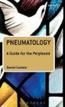 Daniel Castelo, Castelo Daniel - Pneumatology: A Guide for the Perplexed