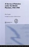 Dov Gavish, GAVISH DOV - Survey of Palestine Under the British Mandate, 1920-1948
