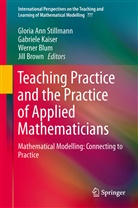 Werner Blum, Werner Blum et al, Jill Brown, Jill P. Brown, Gabriel Kaiser, Gabriele Kaiser... - Teaching Mathematical Modelling: Connecting to Research and Practice