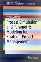 Dennis Anderson, Peter Morales, Peter J Morales, Peter J. Morales - Process Simulation and Parametric Modeling for Strategic Project Management