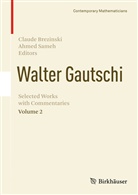 Claud Brezinski, Claude Brezinski, Sameh, Sameh, Ahmed Sameh - Walter Gautschi, Volume 2