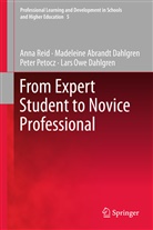 Madelein Abrandt Dahlgren, Madeleine Abrandt Dahlgren, L Dahlgren, Lars Owe Dahlgren, Peter Petocz, Ann Reid... - From Expert Student to Novice Professional