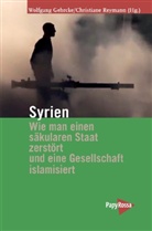 Gehrck, Wolfgan Gehrcke, Wolfgang Gehrcke, Reyman, Reymann, Christiane Reymann - Syrien