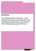 Nenad Rosic - Zwischennutzung von Brachen - Neue Perspektiven für die schrumpfende Stadt. Handlungsempfehlungen an die Akteure: Zwischennutzungen gezielt Fördern