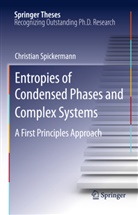 Christian Spickermann - Entropies of Condensed Phases and Complex Systems