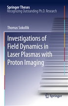 Thomas Sokollik - Investigations of Field Dynamics in Laser Plasmas with Proton Imaging