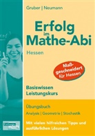Helmu Gruber, Helmut Gruber, Robert Neumann - Erfolg im Mathe-Abi: Hessen, Basiswissen Leistungskurs
