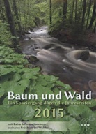 Andrew Cowin - Baum und Wald 2014