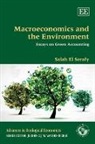 Salah El Serafy, Salah El Serafy - Macroeconomics and the Environment