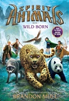 Brandon Mull - Wild Born