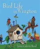John Calvin Reid - Bird Life in Wington