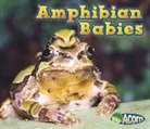 Catherine Veitch - Amphibian Babies