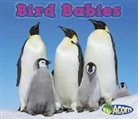 Catherine Veitch - Bird Babies