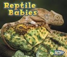 Catherine Veitch - Reptile Babies