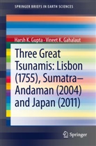 Vineet K Gahalaut, Vineet K. Gahalaut, Harsh Gupta, Harsh K Gupta, Harsh K. Gupta - Three Great Tsunamis: Lisbon (1755), Sumatra-Andaman (2004) and Japan (2011)