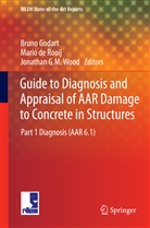 Mari de Rooij, Mario De Rooij, Jonathan G M Wood, Bruno Godart, Mario de Rooij, Jonathan Wood... - Guide to Diagnosis and Appraisal of AAR Damage to Concrete in Structures. Pt.1