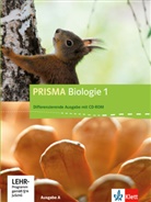 Prisma Biologie, Ausgabe A - Differenzierende Ausgabe - 1: PRISMA Biologie 1. Differenzierende Ausgabe A, m. 1 CD-ROM