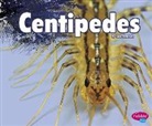 Lisa J. Amstutz - Centipedes
