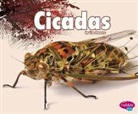 Lisa J. Amstutz - Cicadas