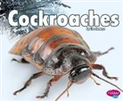 Lisa J. Amstutz - Cockroaches