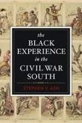 Stephen Ash, Stephen V Ash, Stephen V. Ash, University Professor of History Stephen V (Un Ash - Black Experience in the Civil War South