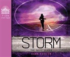 Evan Angler, Barrie Buckner - Storm (Audio book)