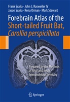 Rena Orman, John J. Rasweiler, John J Rasweiler IV, John J. Rasweiler IV, Frank Scalia, Jason Scalia... - Forebrain Atlas of the Short-tailed Fruit Bat, Carollia perspicillata
