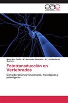M Mercede Benedetto, M Mercedes Benedetto, M. Mercedes Benedetto, María An Contin, María Ana Contin, Quinteros... - Fototransducción en Vertebrados