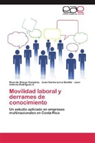 Juan Carlos Leiva Bonilla, Ricard Monge González, Ricardo Monge González, Juan Antonio Rodríguez A. - Movilidad laboral y derrames de conocimiento