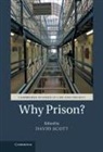David Scott, David Scott - Why Prison?