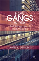 J Densley, J. Densley, James Densley, James A. Densley - How Gangs Work