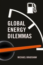 M Bradshaw, M. Bradshaw, Michael J. Bradshaw, Mike Bradshaw, Bradshaw Mike - Global Energy Dilemmas