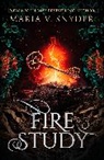 Maria V Snyder, Maria V. Snyder, Snyder Maria V. - Fire Study