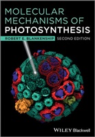 Robert E Blankenship, Robert E. Blankenship - Molecular Mechanisms of Photosynthesis